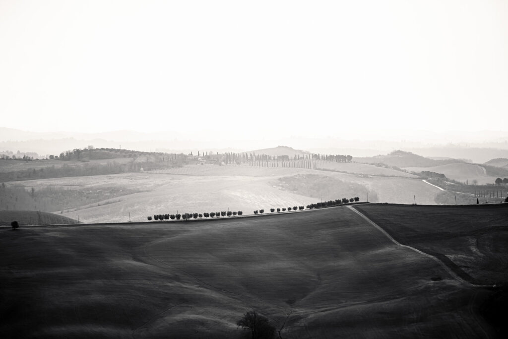 Colline Siena strade bianche